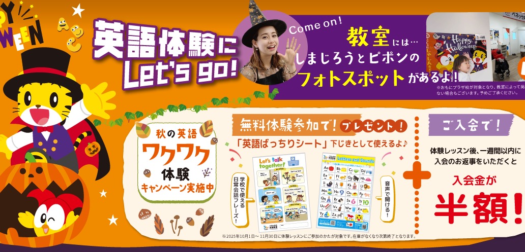 Bestudioキャンペーン