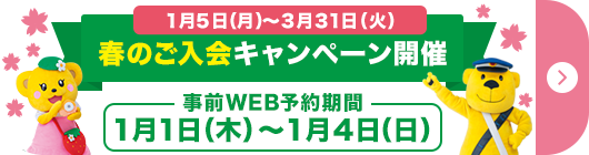 セイハ英語学院キャンペーン2025年3月31日まで