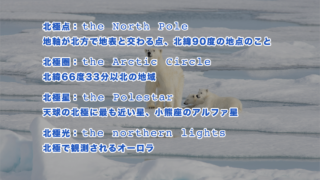 北極を英語でいうと?北極(arctic)に関連する英語一覧(発音記号・音声付き)