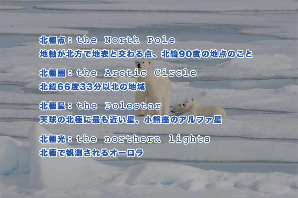 北極を英語でいうと？北極（arctic）に関連する英語一覧（発音記号・音声付き）